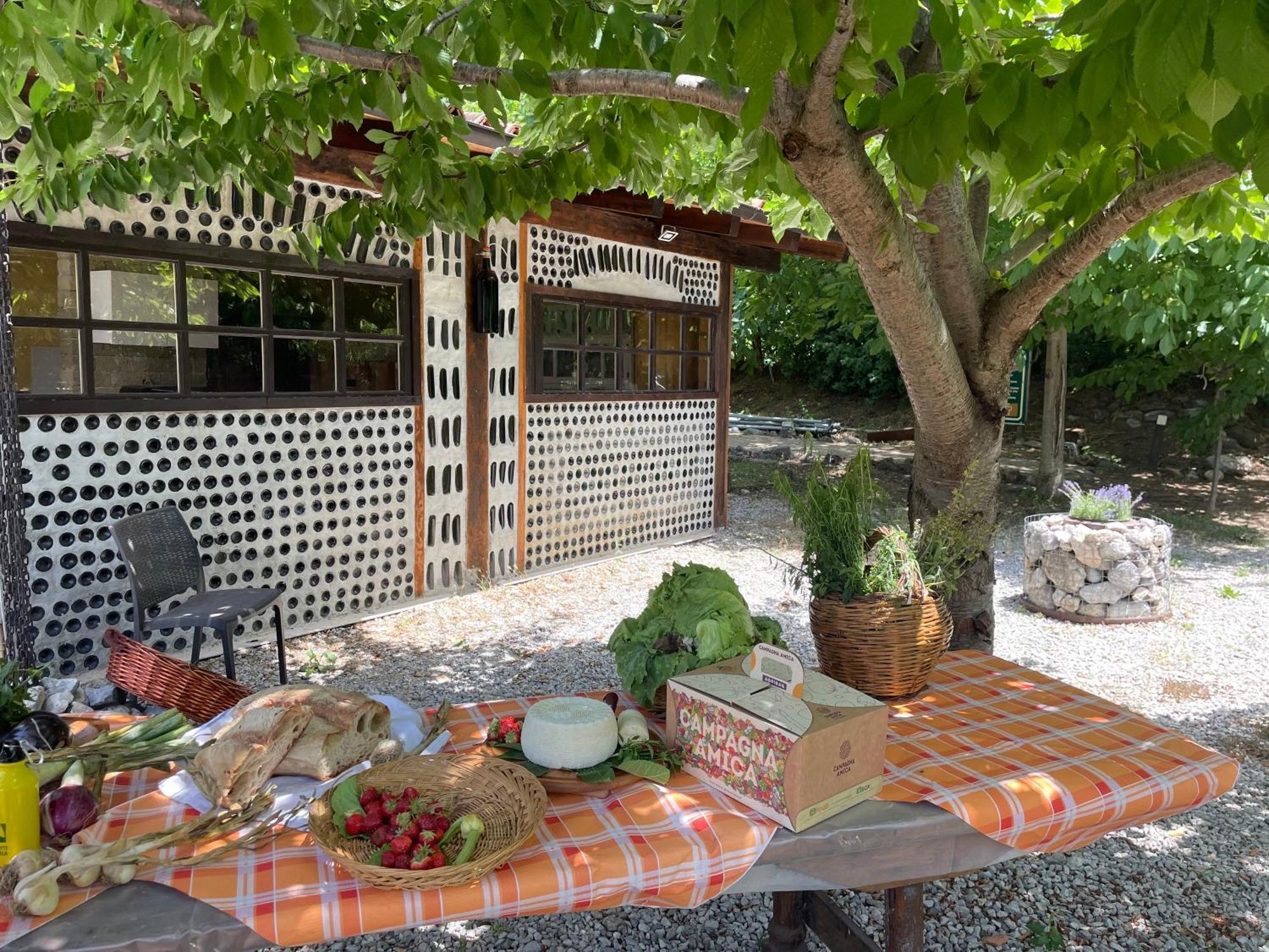 Agriturismo La Locanda Del Parco Morano Calabro Exterior foto